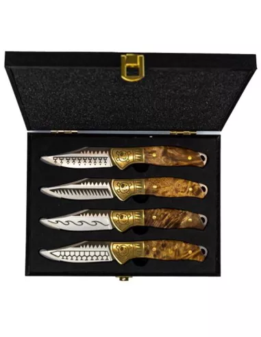 Steak Knife Set, Homey's, Schiffmacher, Set of 4, in Gift Box
